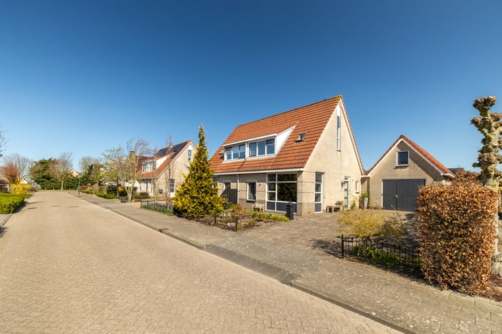 Foto 4 van Festing 9