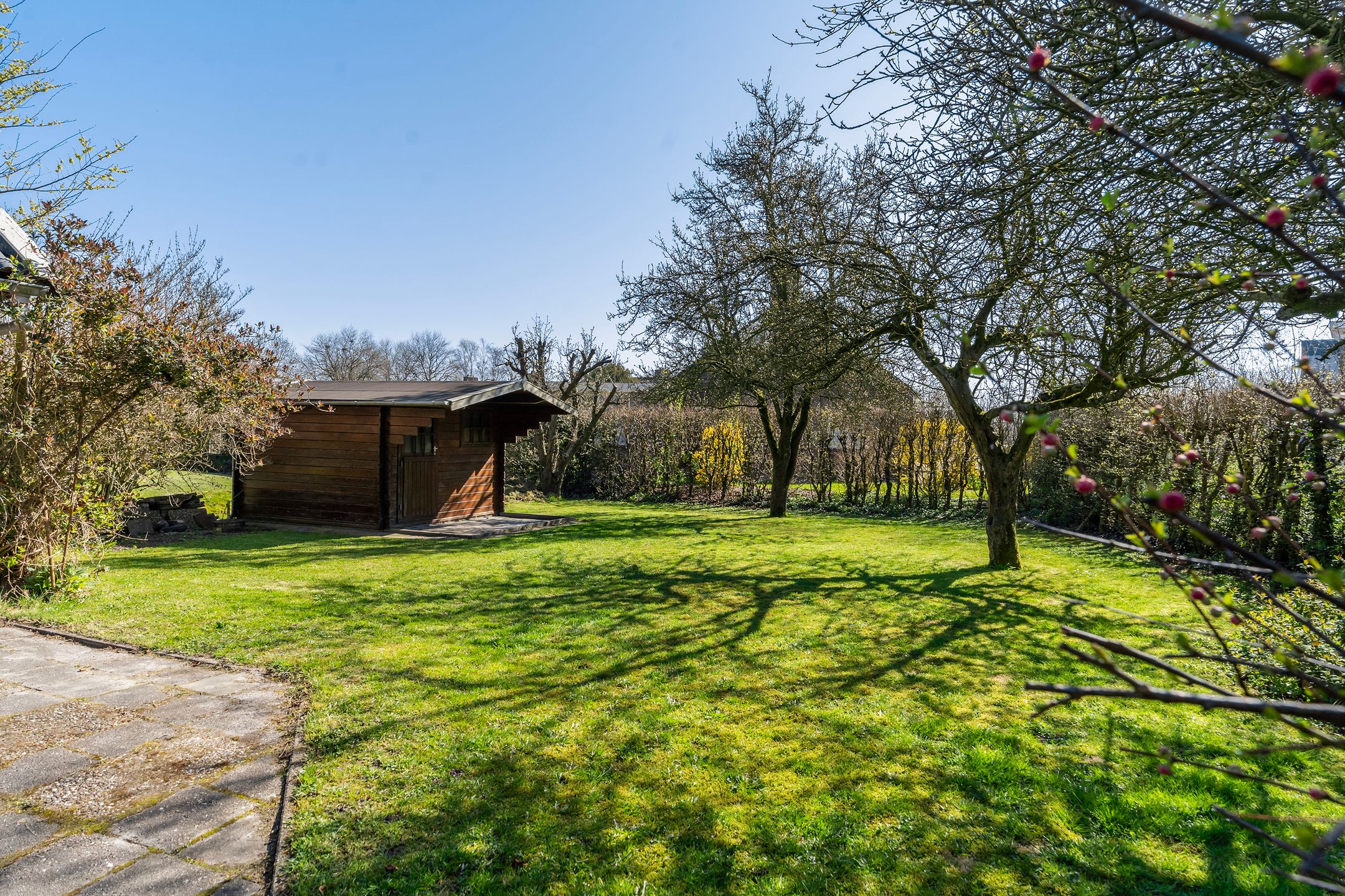 Photo 36 of Rypsterdyk 15