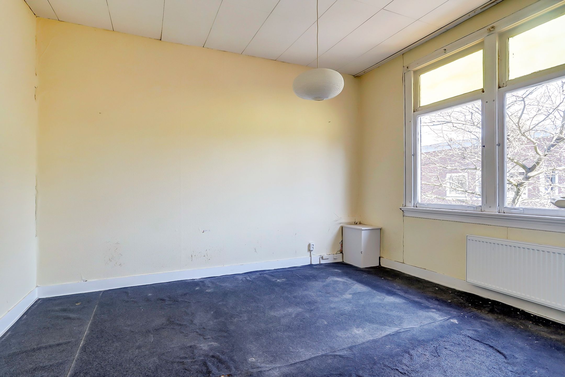 Foto 21 van Wilgstraat 6