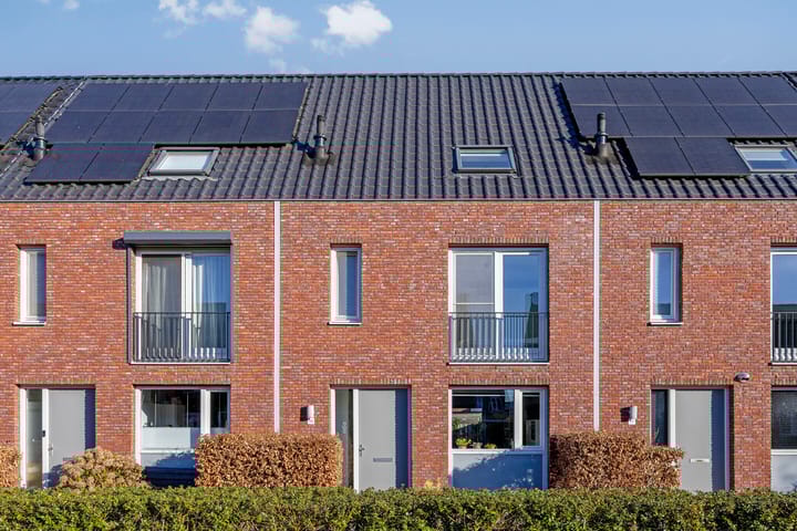 Foto 26 van Inktzwam 15