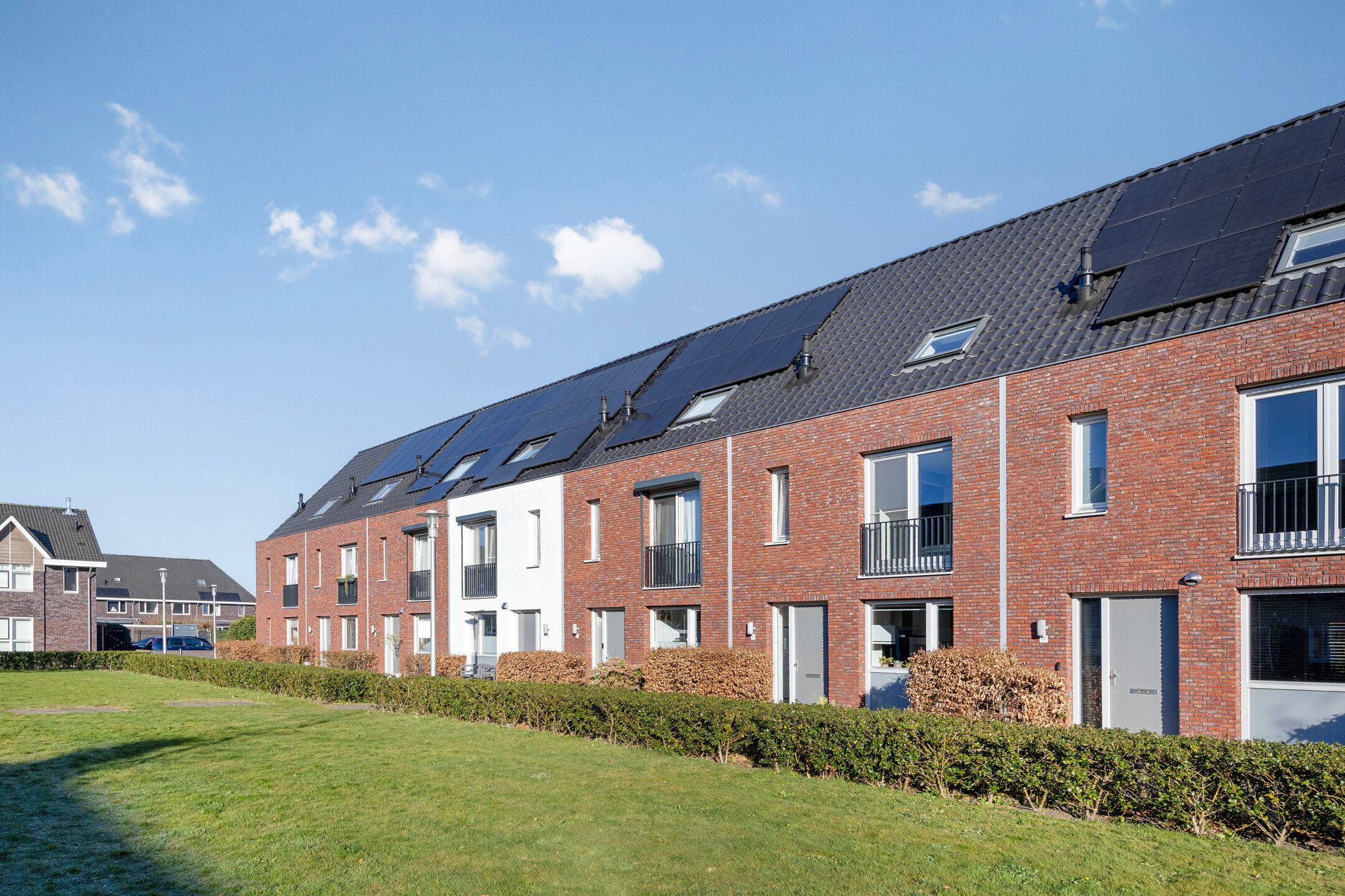 Photo 27 of Inktzwam 15