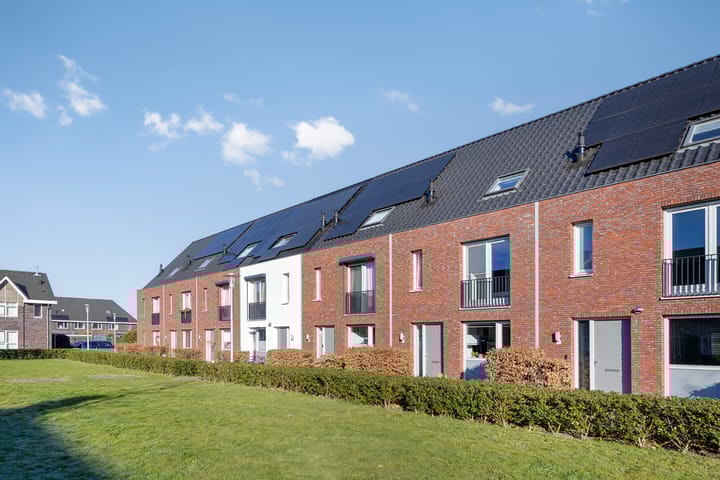 Foto 27 van Inktzwam 15