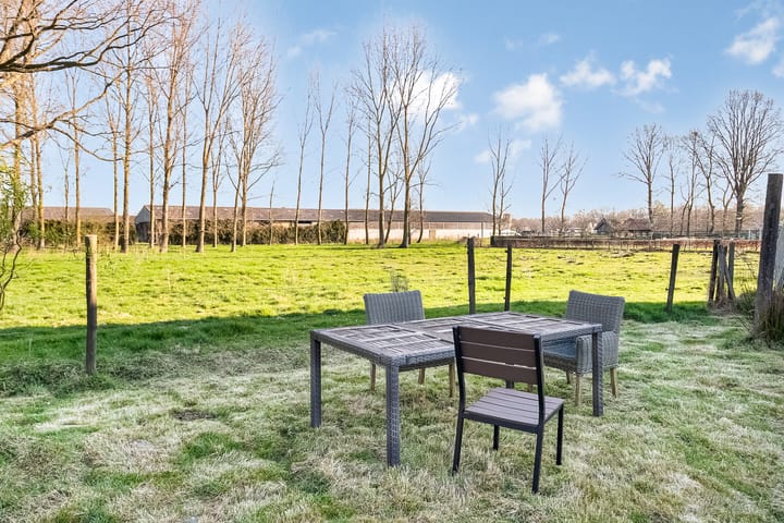 Foto 20 van Teerlingstraat 15