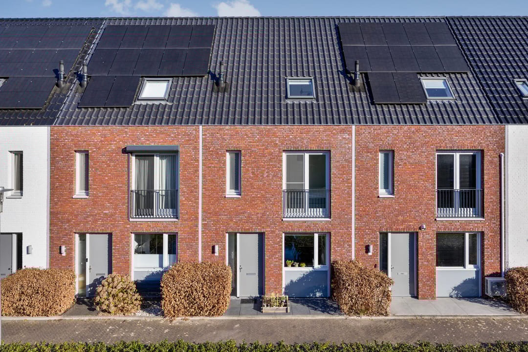 Photo 1 of Inktzwam 15