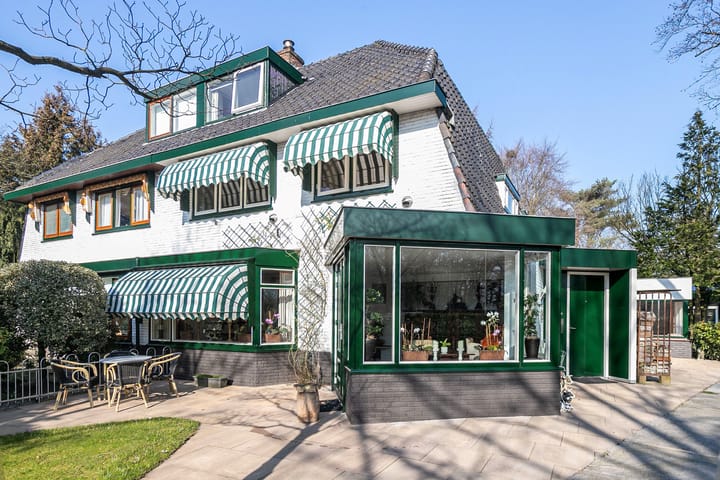 Foto 3 van Birkstraat 161