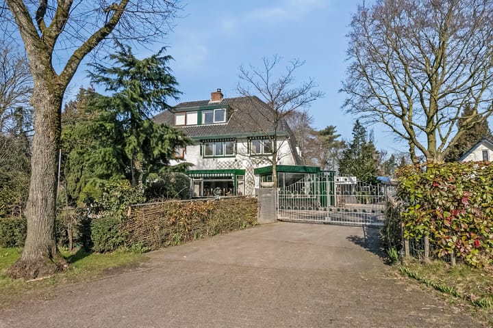 Foto 4 van Birkstraat 161