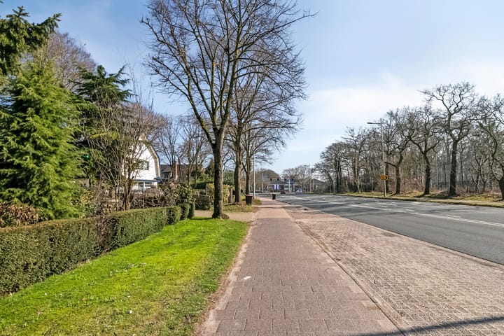 Foto 56 van Birkstraat 161