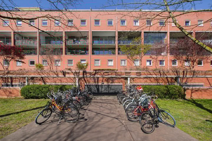 Foto 6 van KNSM-laan 737