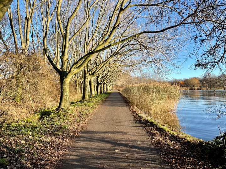 Foto 25 van Aïdaplein 110