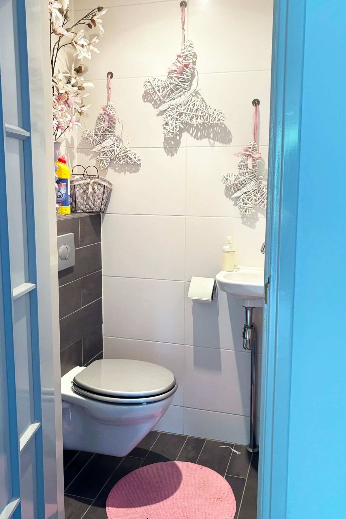 Foto 5 van Muurvaren 111