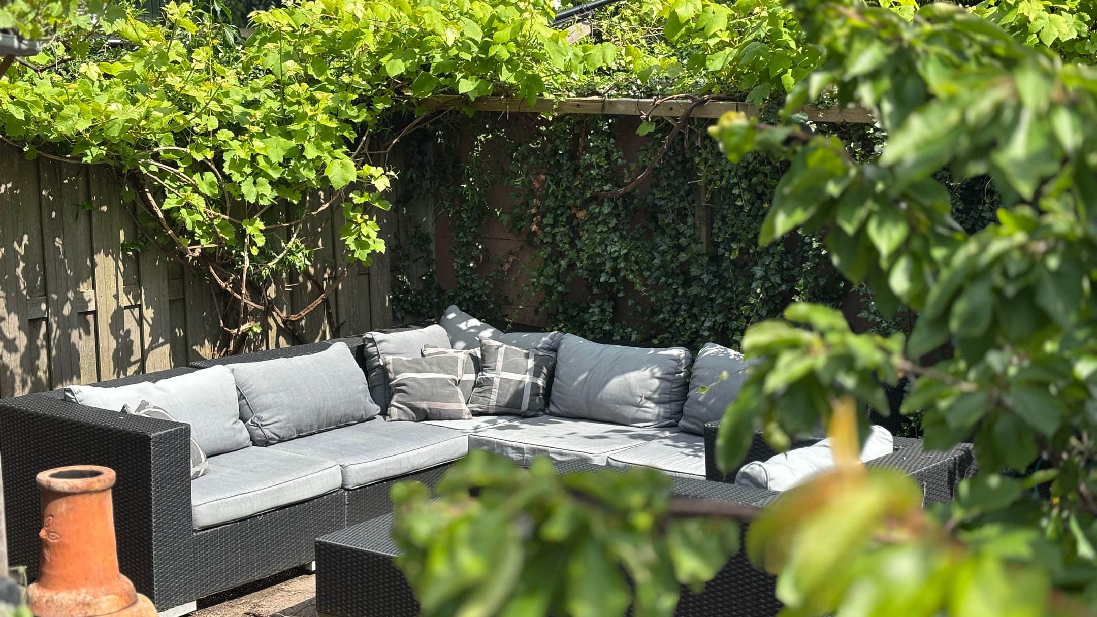 Foto 6 van Muurvaren 111