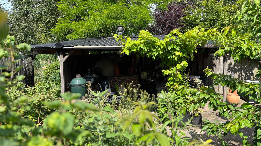 Foto 7 van Muurvaren 111