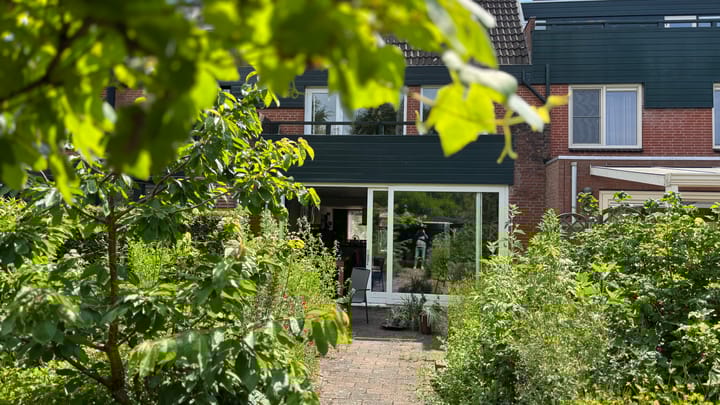 Foto 8 van Muurvaren 111