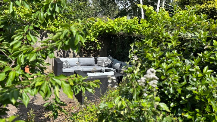 Foto 9 van Muurvaren 111