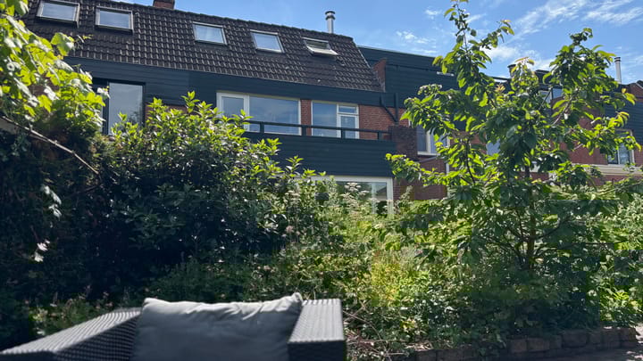 Foto 12 van Muurvaren 111