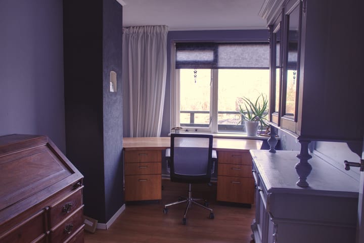 Foto 16 van Muurvaren 111