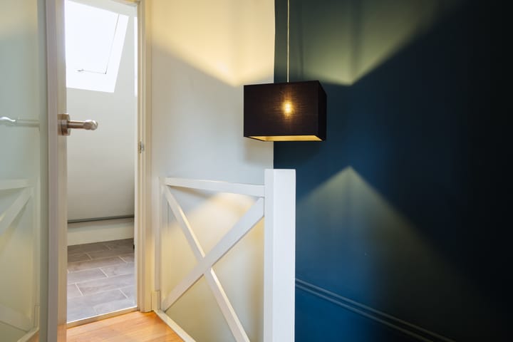 Foto 19 van Muurvaren 111