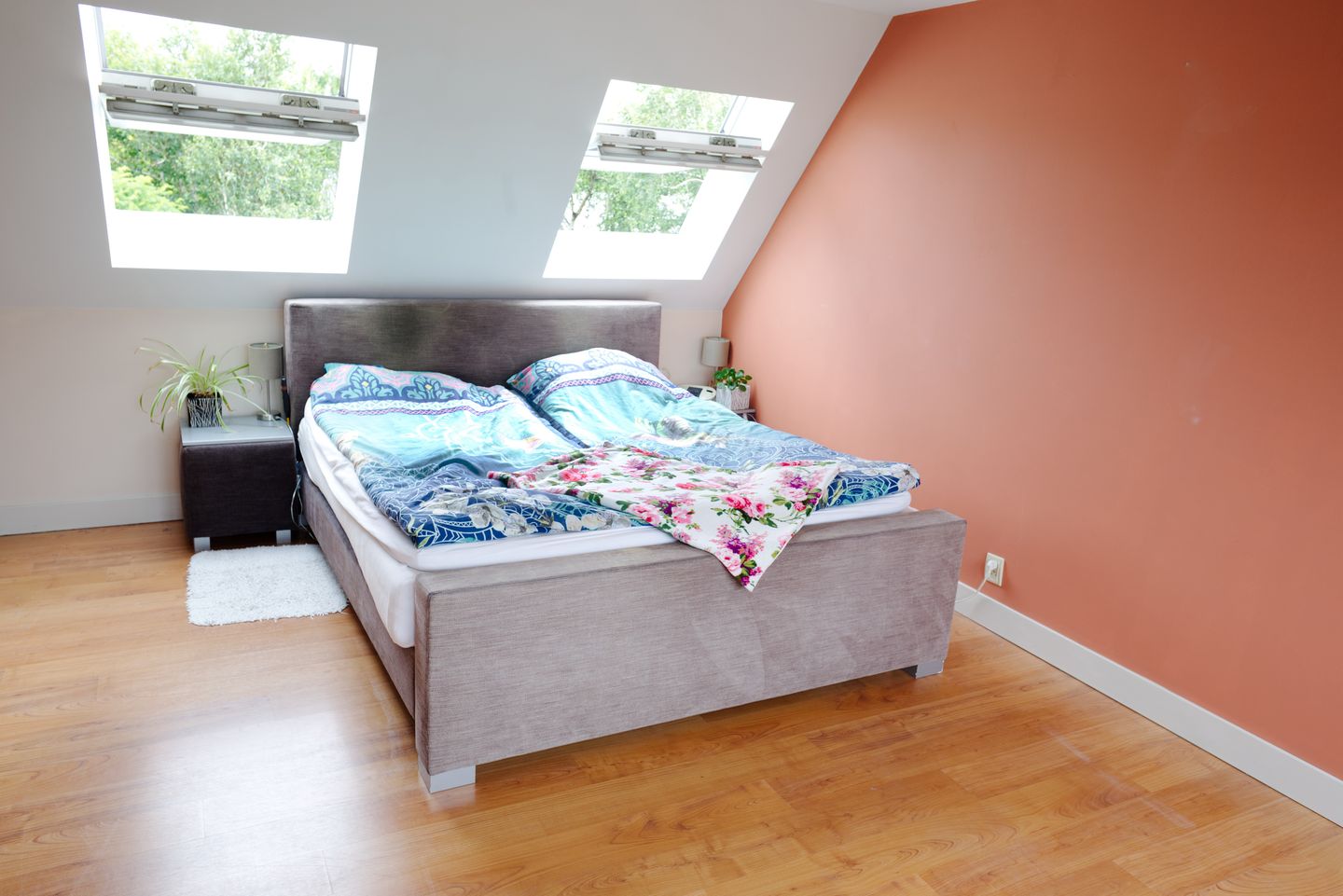 Foto 20 van Muurvaren 111