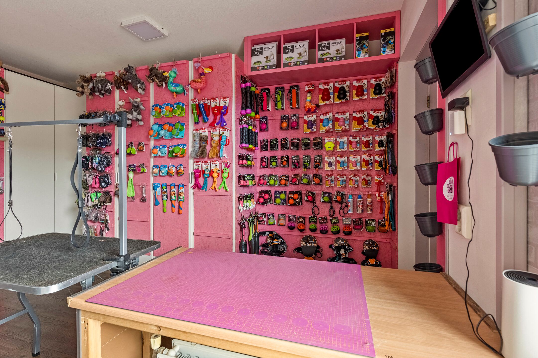 Foto 30 van Pieter Jelles Troelstralaan 16