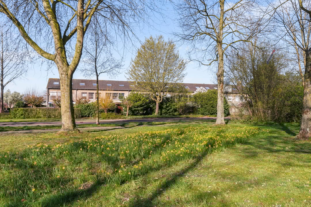 Foto 52 van Elzengaard 48