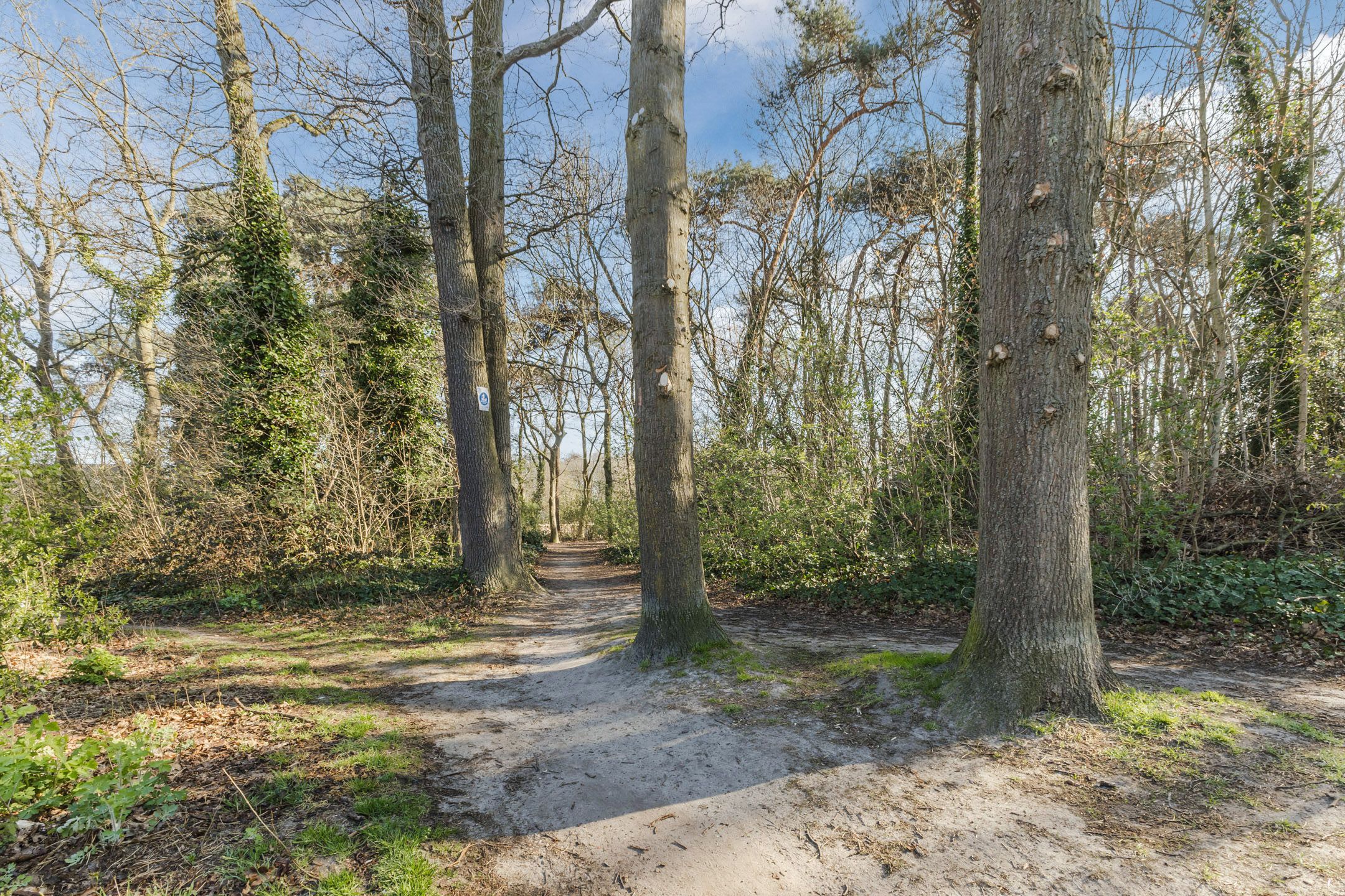 Foto 42 van Kerkakkerstraat 86