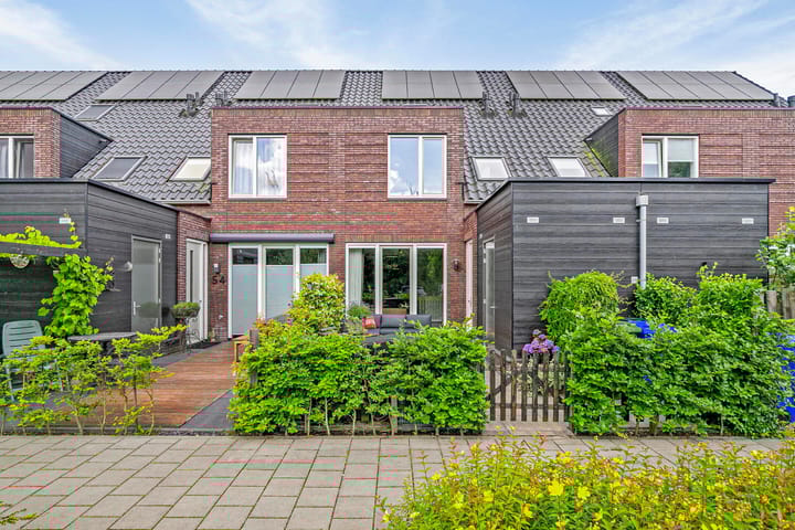 undefined main image