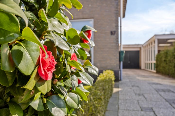 Foto 35 van Pastoor Gloerichstraat 57