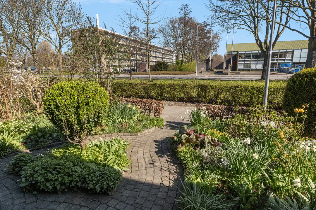 Foto 7 van Laan van Nieuw Blankenburg 84