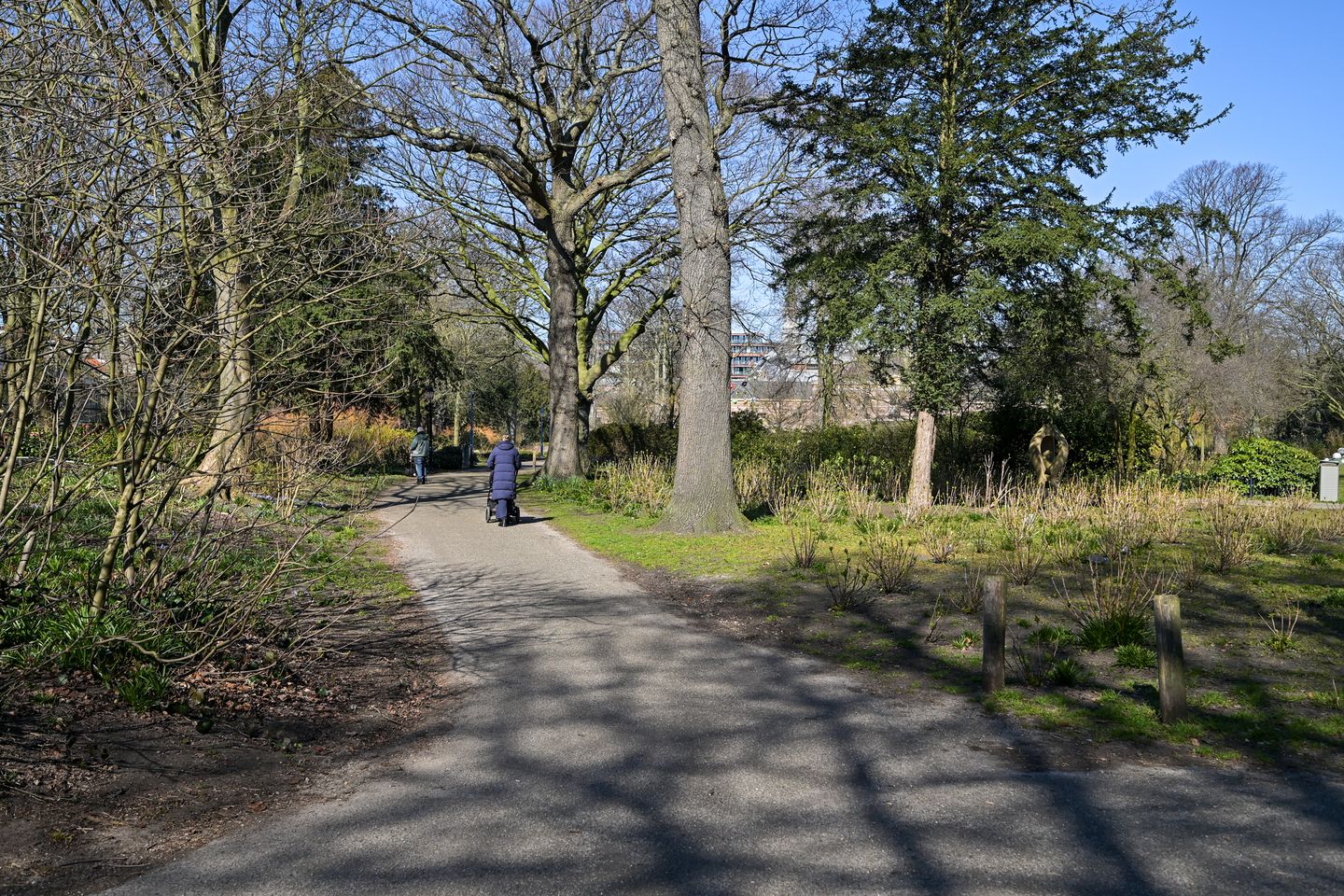 Foto 25 van Vondelstraat 115