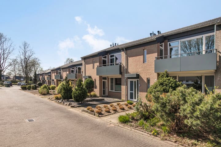 Foto 25 van Schout de Wagenerstraat 8