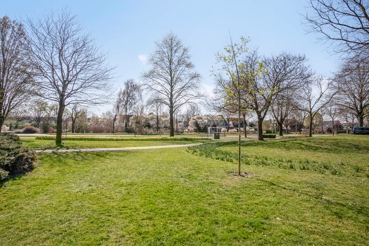 Foto 30 van Schout de Wagenerstraat 8