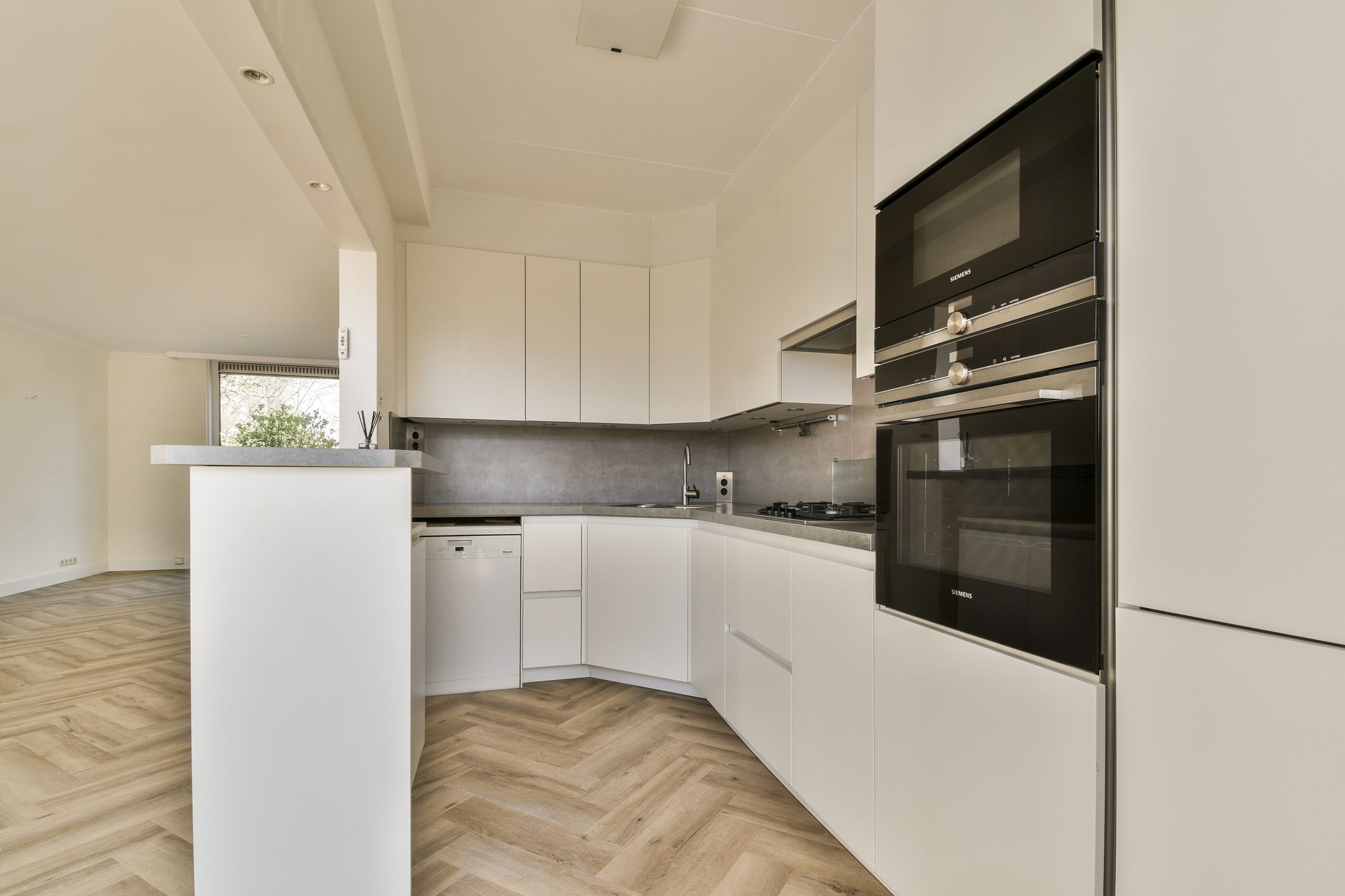 Foto 12 van Oostelijk Halfrond 50