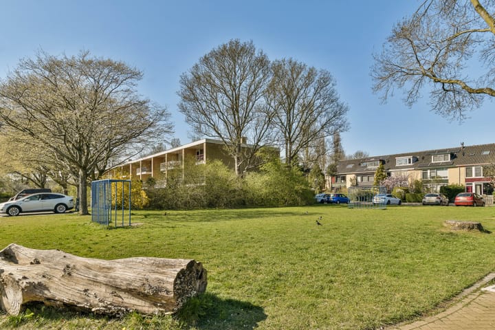 Foto 32 van Oostelijk Halfrond 50