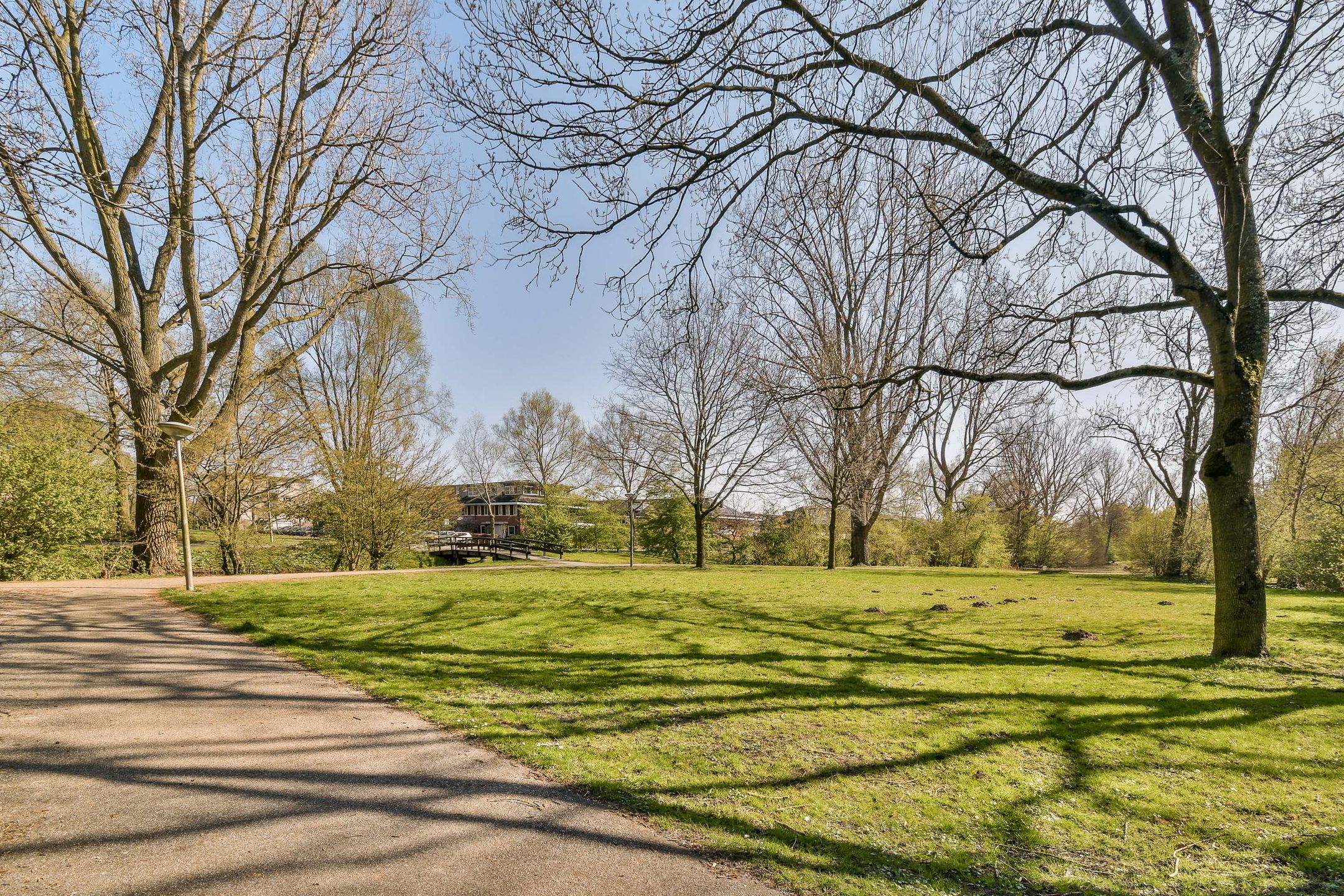 Foto 33 van Oostelijk Halfrond 50