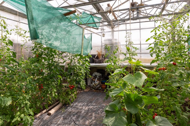 Photo 37 of Noorderuitweg 9