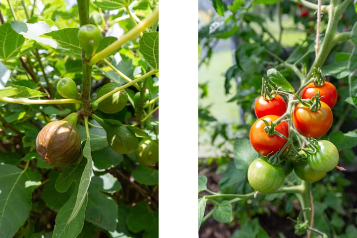 Photo 38 of Noorderuitweg 9