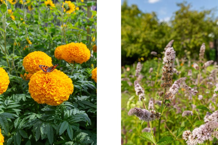 Photo 43 of Noorderuitweg 9