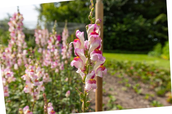 Photo 48 of Noorderuitweg 9