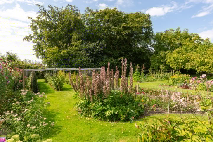 Photo 54 of Noorderuitweg 9
