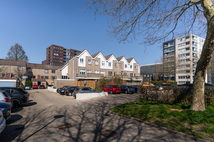 Photo 1 of Antilopespoor 11