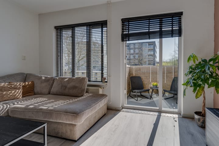 Photo 8 of Antilopespoor 11