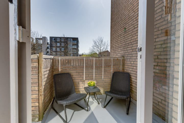 Photo 9 of Antilopespoor 11