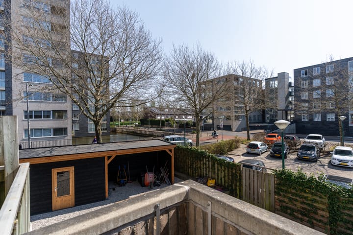 Photo 10 of Antilopespoor 11