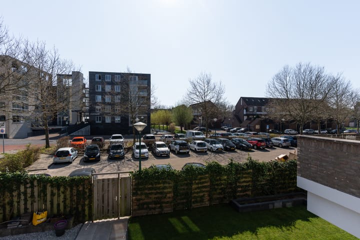 Photo 11 of Antilopespoor 11