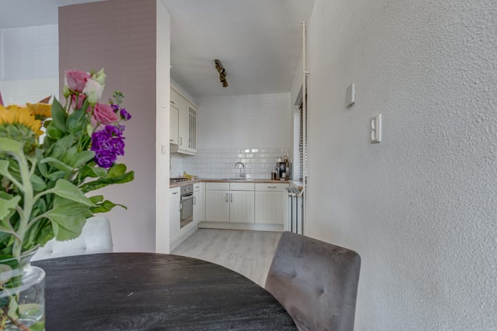 Photo 14 of Antilopespoor 11