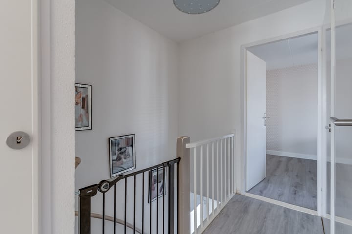 Photo 19 of Antilopespoor 11