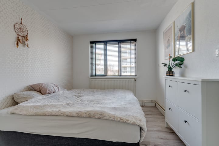 Photo 20 of Antilopespoor 11