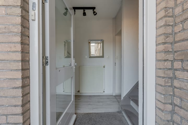 Photo 30 of Antilopespoor 11