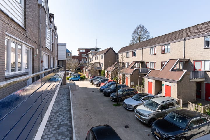 Photo 33 of Antilopespoor 11