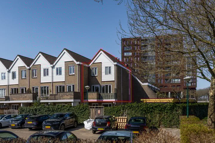 Photo 36 of Antilopespoor 11